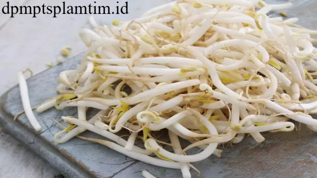 8 Manfaat Toge untuk Kesehatan Tubuh