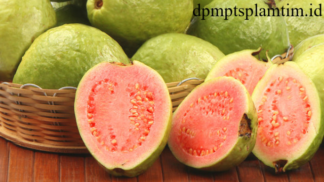 Jambu Biji: Buah Tropis Kaya Vitamin untuk Kesehatan Tubuh